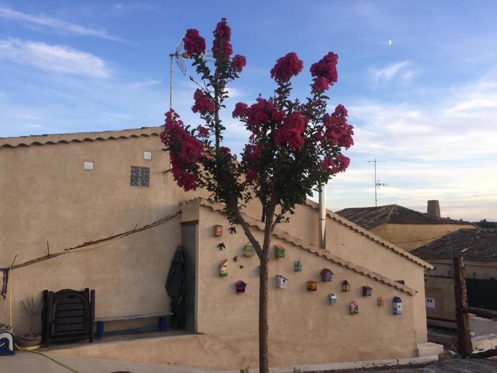 Casa Rural La Charolesa Aguilera Екстер'єр фото